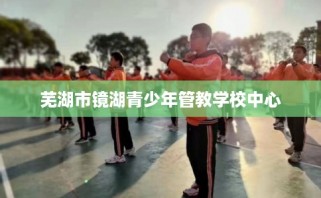 芜湖市镜湖青少年管教学校中心