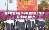 邯郸市肥乡区孩子叛逆去哪个学校：排行榜名单前十