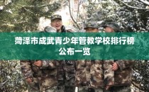 菏泽市成武青少年管教学校排行榜公布一览