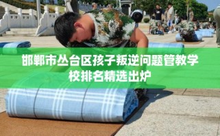 邯郸市丛台区孩子叛逆问题管教学校排名精选出炉