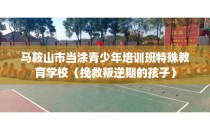 马鞍山市当涂青少年培训班特殊教育学校（挽救叛逆期的孩子）