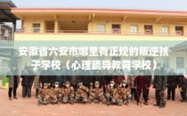 安徽省六安市哪里有正规的叛逆孩子学校（心理疏导教育学校）