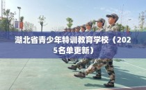 湖北省青少年特训教育学校（2025名单更新）