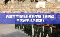 青岛市市南特训教育学校（解决孩子沉迷手机的情况）