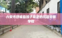六安市舒城县孩子叛逆的问题管教学校