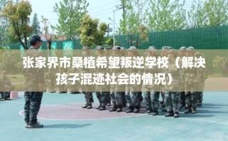 张家界市桑植希望叛逆学校（解决孩子混迹社会的情况）