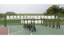 盐城市东台正规的叛逆学校推荐（行业前十推荐）