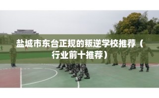 盐城市东台正规的叛逆学校推荐（行业前十推荐）