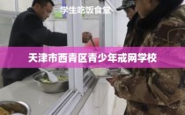 天津市西青区青少年戒网学校