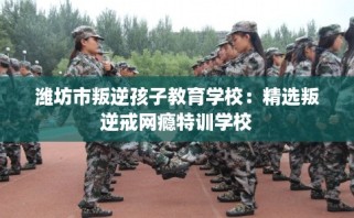 潍坊市叛逆孩子教育学校：精选叛逆戒网瘾特训学校