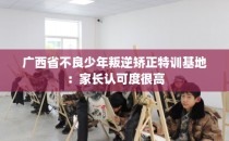 广西省不良少年叛逆矫正特训基地：家长认可度很高