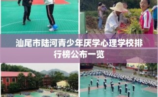 汕尾市陆河青少年厌学心理学校排行榜公布一览