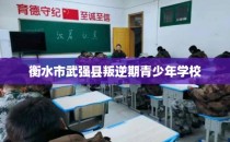 衡水市武强县叛逆期青少年学校