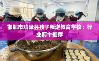 邯郸市鸡泽县孩子叛逆教育学校：行业前十推荐