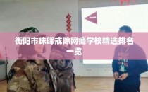 衡阳市珠晖戒除网瘾学校精选排名一览