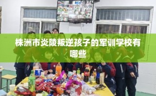 株洲市炎陵叛逆孩子的军训学校有哪些