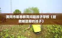 黄冈市蕲春教育问题孩子学校（拯救叛逆期的孩子）