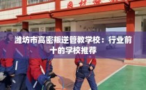 潍坊市高密叛逆管教学校:行业前十的学校推荐