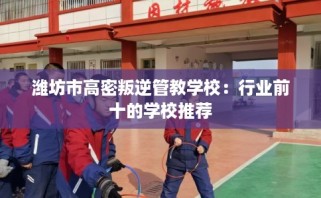 潍坊市高密叛逆管教学校：行业前十的学校推荐