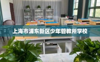上海市浦东新区少年管教所学校