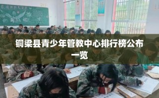 铜梁县青少年管教中心排行榜公布一览