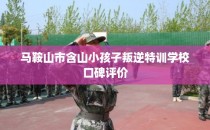 马鞍山市含山小孩子叛逆特训学校口碑评价