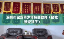 深圳市宝安青少年特训教育（拯救叛逆孩子）