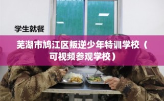 芜湖市鸠江区叛逆少年特训学校（可视频参观学校）