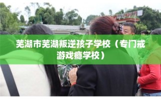 芜湖市芜湖叛逆孩子学校（专门戒游戏瘾学校）